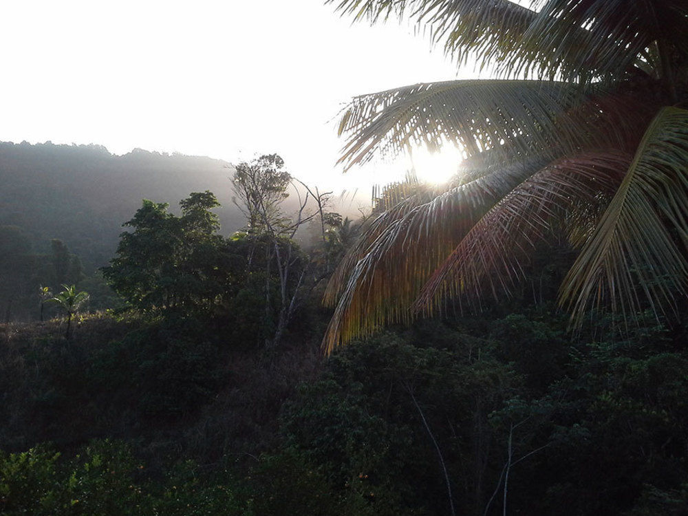 Las Cuevas Beach Lodge Zewnętrze zdjęcie